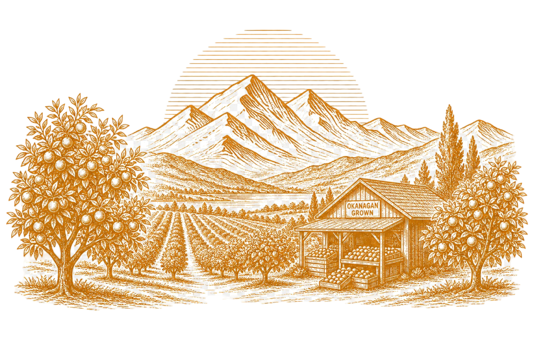 Interior Weekly illustration